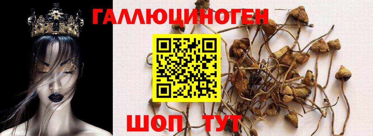 Галлюциногенные грибы GOLDEN TEACHER Назарово